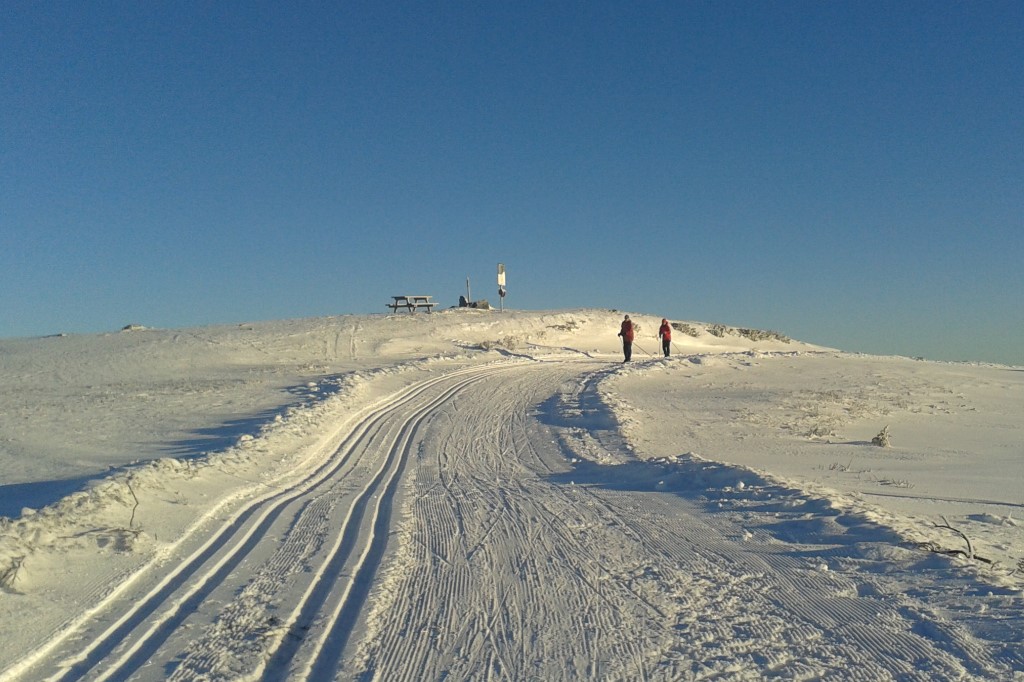 Emit-brikker innføres i langrenn fra 11 år