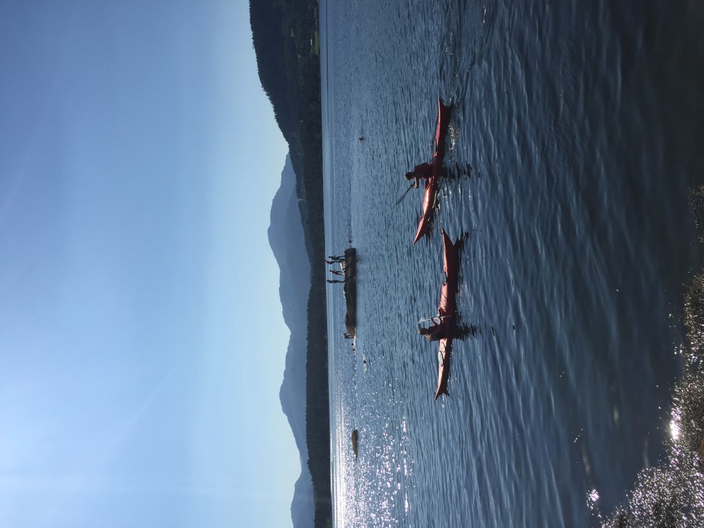 Aktivitetsdag ved sjøen for Halsabarne- og ungdomsskole