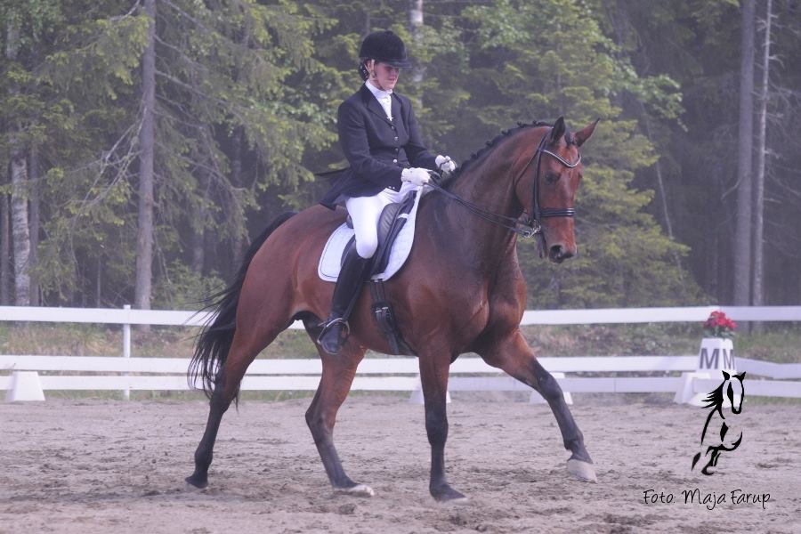 To plasseringer til Sara under Oslo Horse show