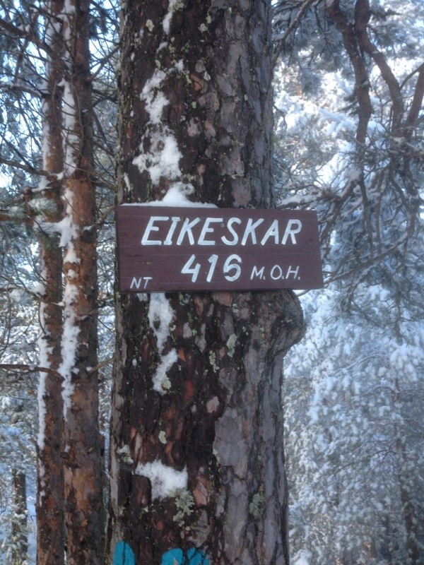 Snøgg Friidrett har sagt ja til samarbeid om motbakkeløpet Eikeskar Opp