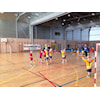 Håndballskolen 2008 i Loppetassen gull