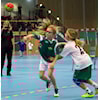 Sportslig utvalg