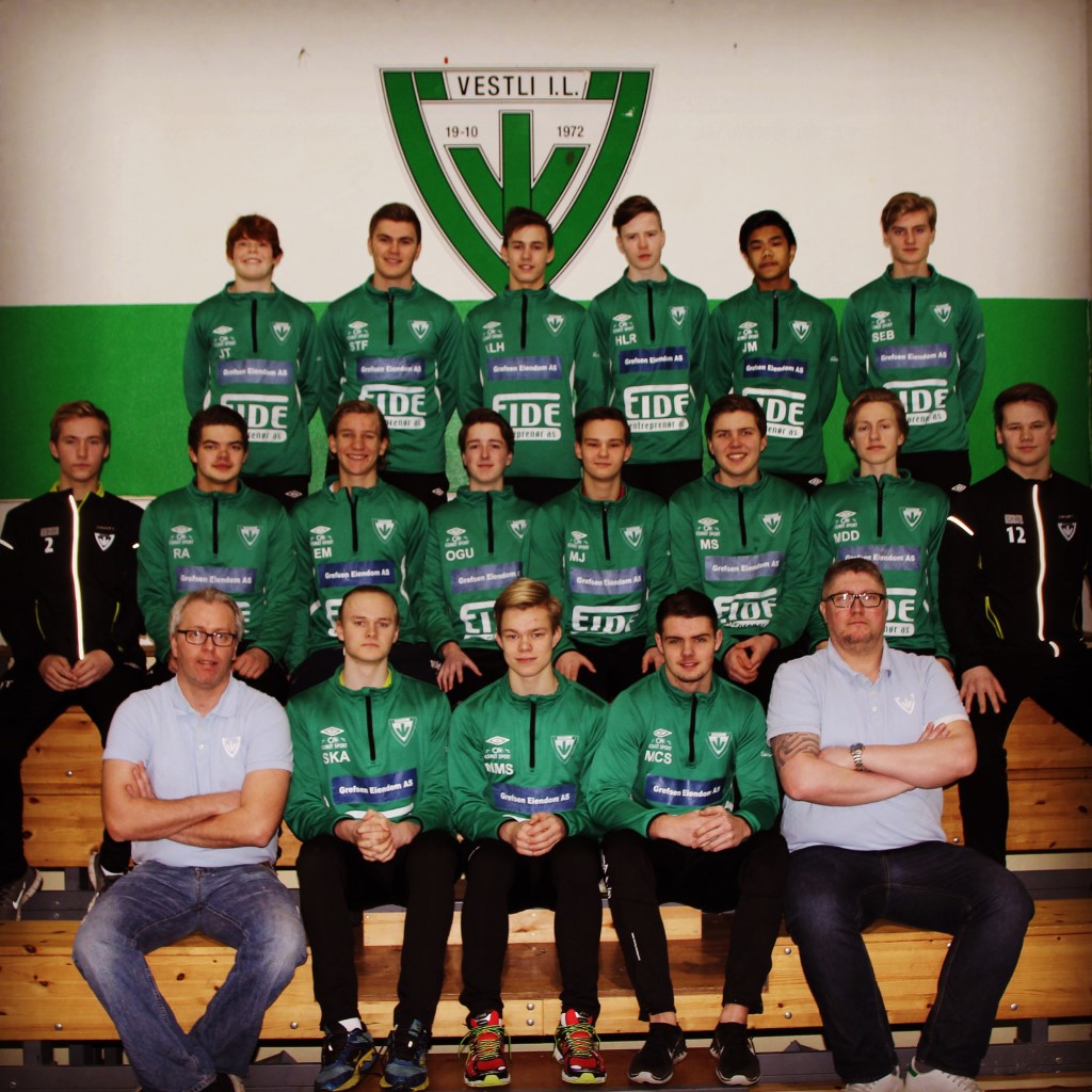 Vestli Cup 2015