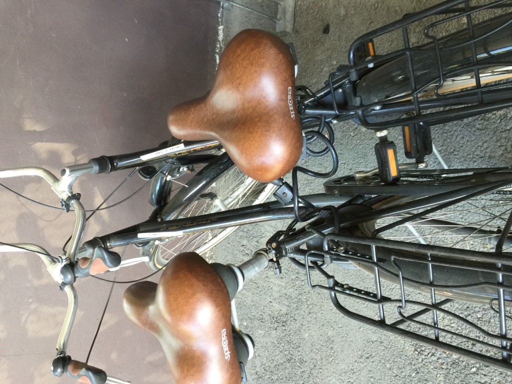 Her er syklene våre i bua🚴🏻da blir det 2. Lag  i 2016