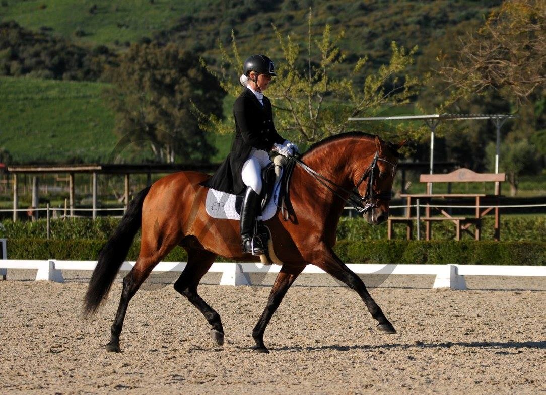 Tidsskjema for dressurtrening med Veronica Winsents lørdag 8 og søndag 9 okt.