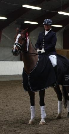 Dressurtrening uke 41. ( 10 oktober- 14 oktober)