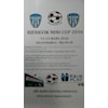 Bjerkvik Mini Cup 12-13 mars 2016