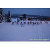 Helt Konge - et annerledes skiarrangement
