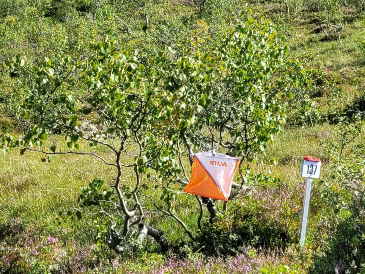O-løp Jølster august