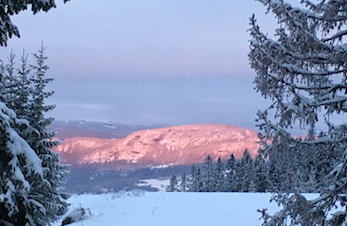 Nyhetsbrev fra Hedmark Idrettskrets og Grasrotandelen.