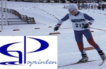 Resultater fra GP-sprinten 2017