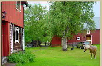 Fellestur til MNM på Tynset