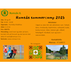 Gratis sommercamp 2025
