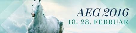 Bilderesultat for aeg 2016