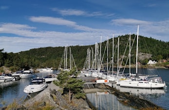Mange besøkende på Finnøya denne sommeren.