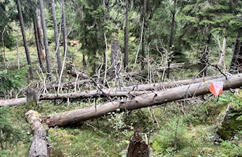 Treningsløp på Hebekk