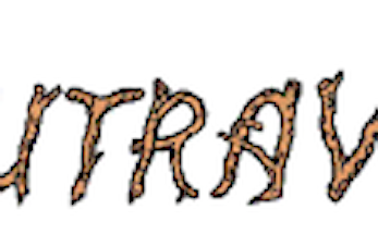 Skautraver