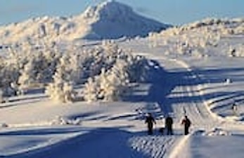 Snøsamling Beitostølen 1-3/12 2023