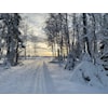 Skikurs i desember
