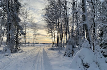 Skikurs i desember