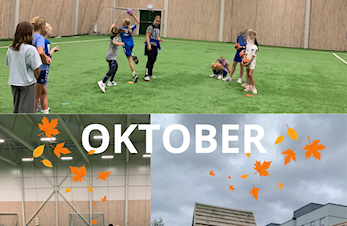 Nyhetsbrev IFO oktober