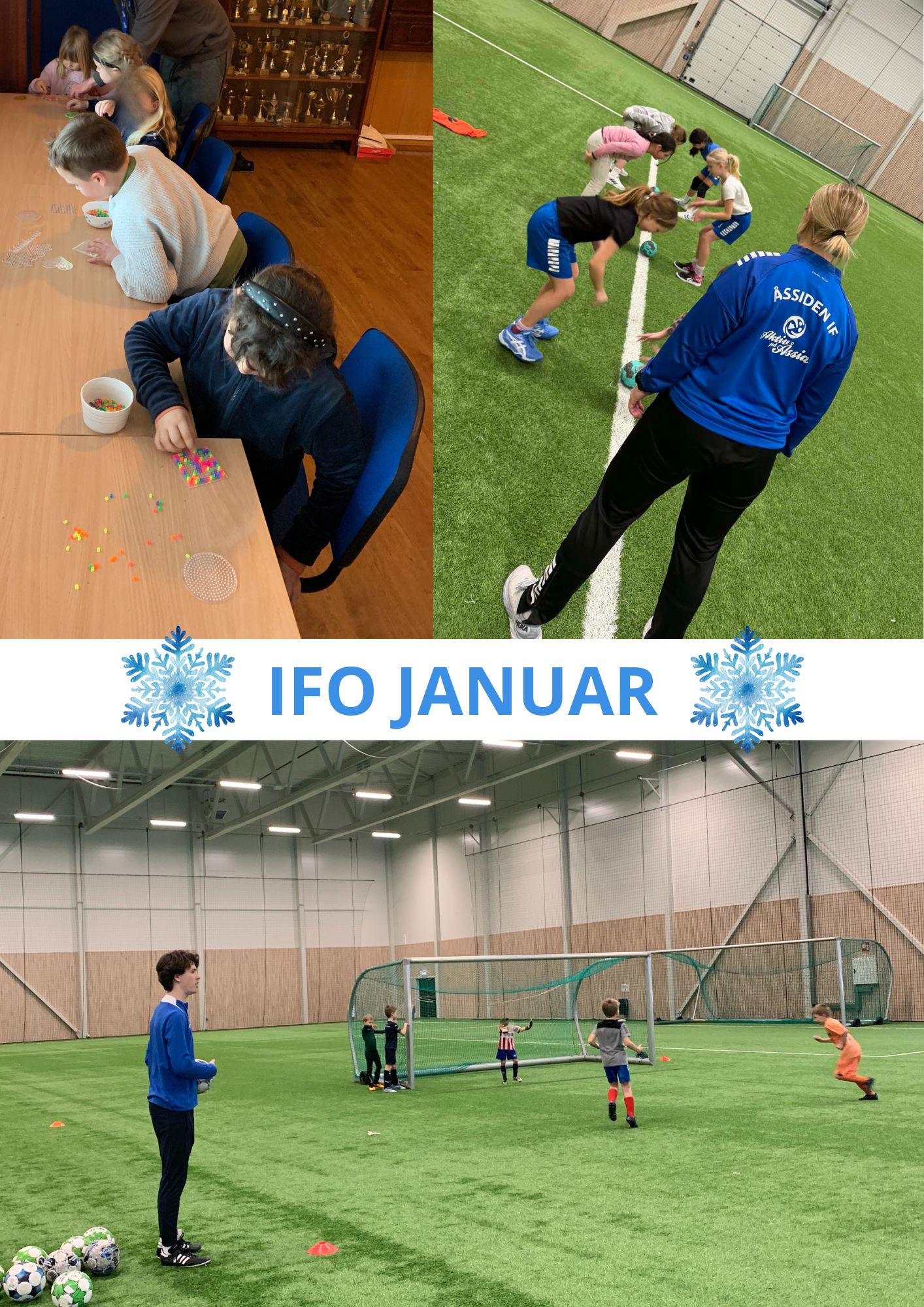 Nyhetsbrev IFO januar