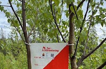 Ny fellestur 17.juni