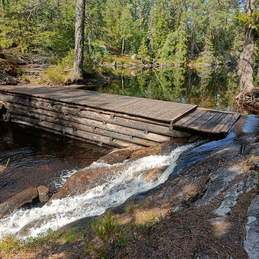 Fire turorienteringsturer åpner i dag