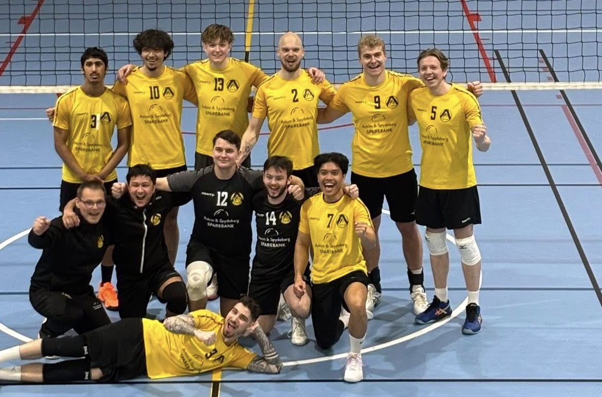 Herrelaget seriemestere