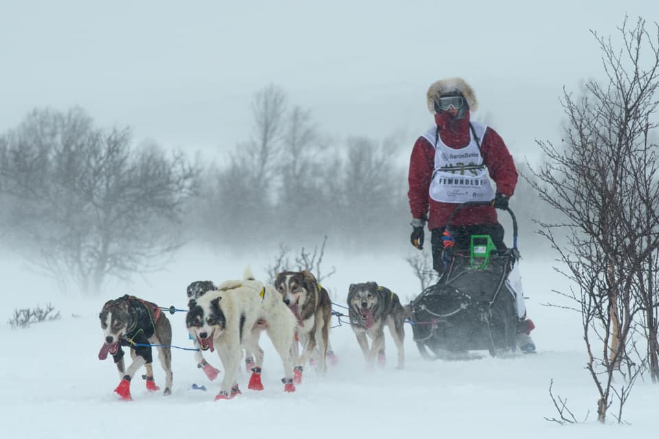 Image for Klare for Gruveløpet 2026 