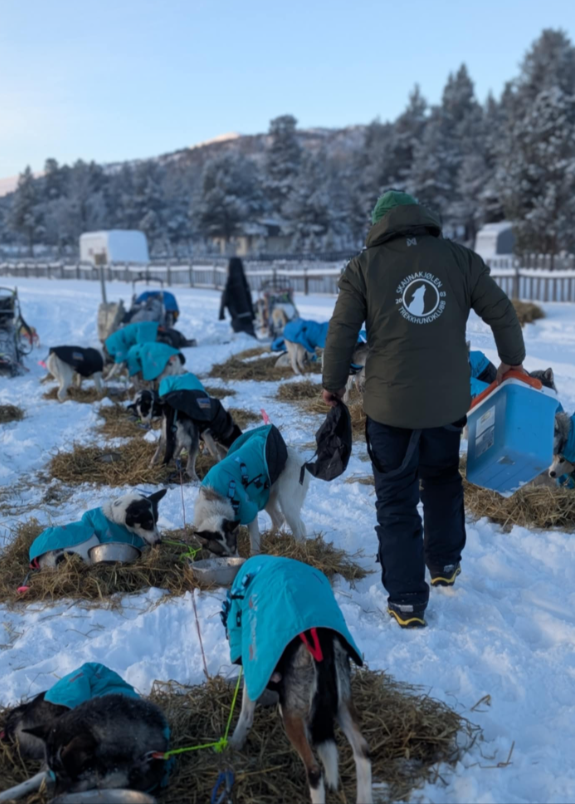 Gausdal Maraton 2026 