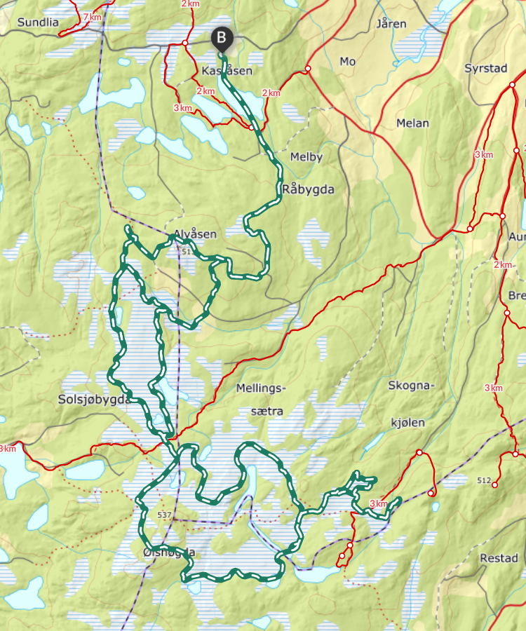 Image for Skaunaløpet 2026 - Egenerklæringsskjema