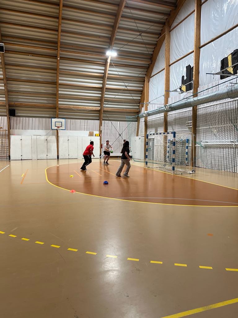 Status på svømmehall, flerbrukshall og rammevilkår i SIF