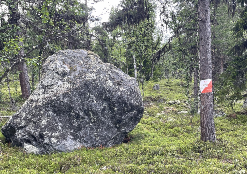 Gudbrandsdalen, Innlandet - gratis for TurO-klubben