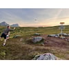 Velkommen til LOFOTEN MASTERS