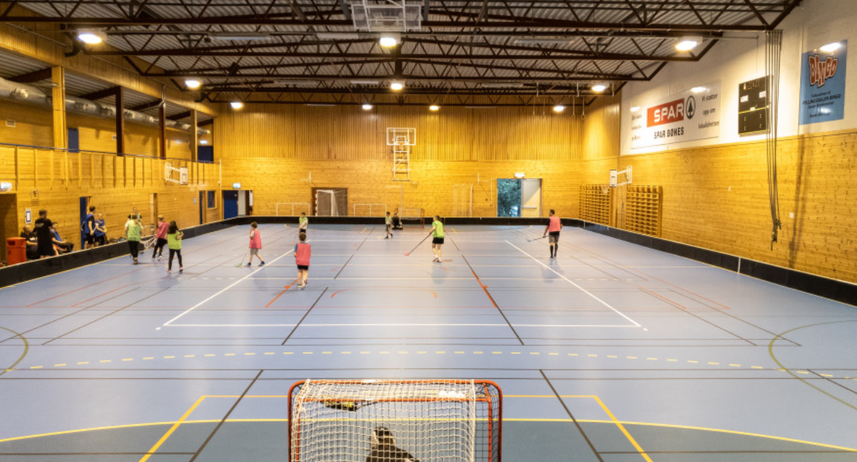 Image for Fjellkam Bønes