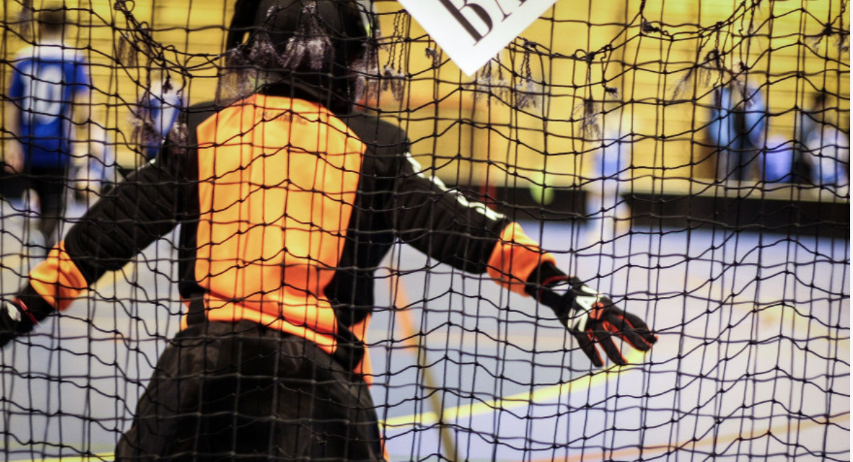 Image for Fjellkam Seljedalen