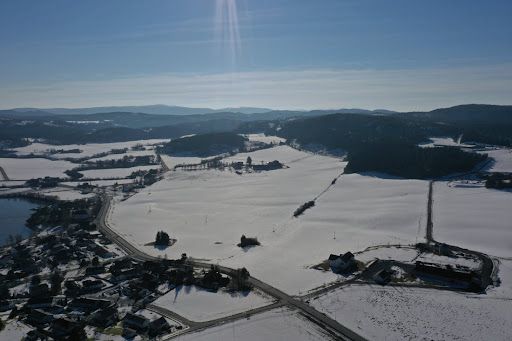 Image for Nyttårsmarsj