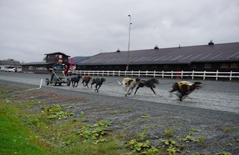 Nye Drammen Grand Prix