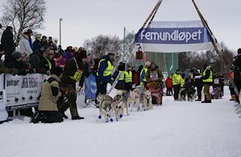 Bruk av bilder på WEB/facebook