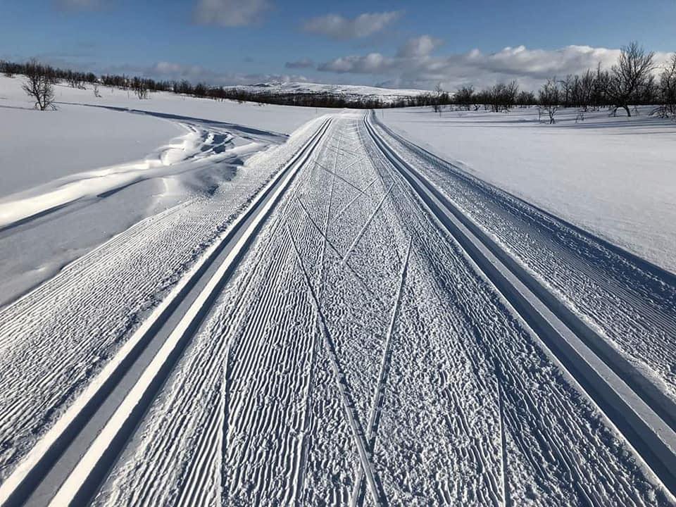 Image for Sagor dat lei buorre láhttu!