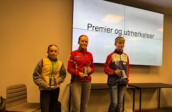 Kretsting for 2024