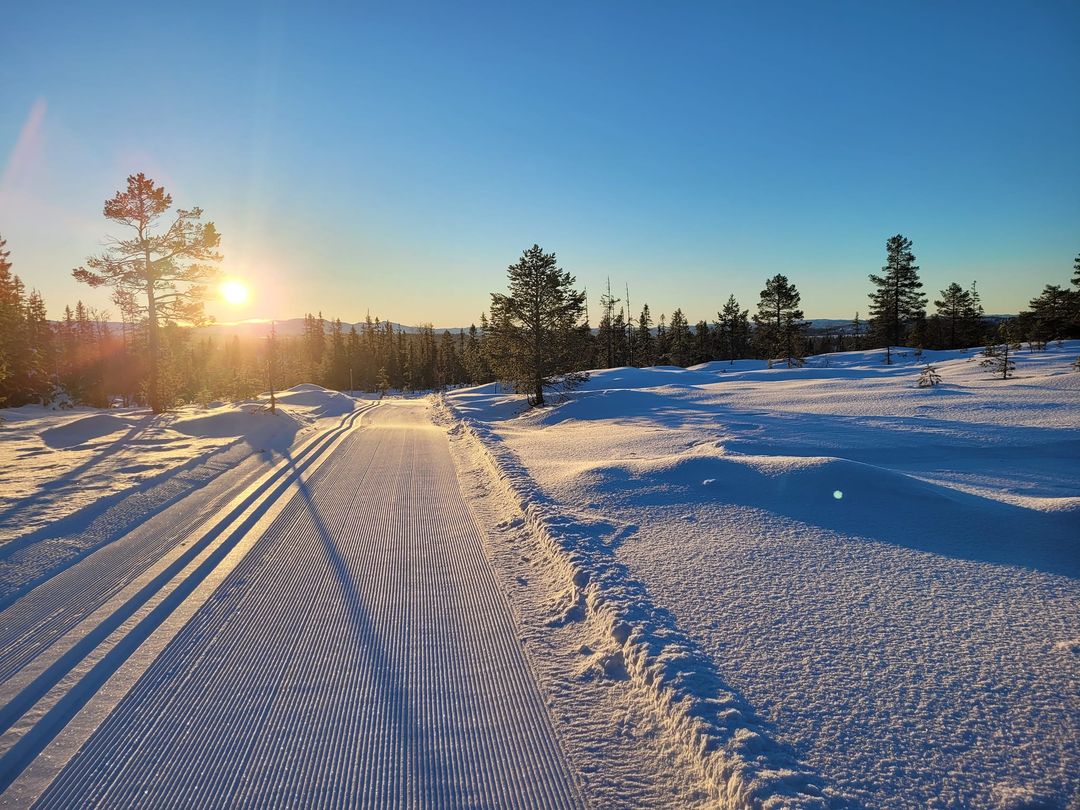 Image for Påmelding til Høgseterrennet 2026