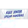 Vi ønskjer fleire jenter inn i handballen...