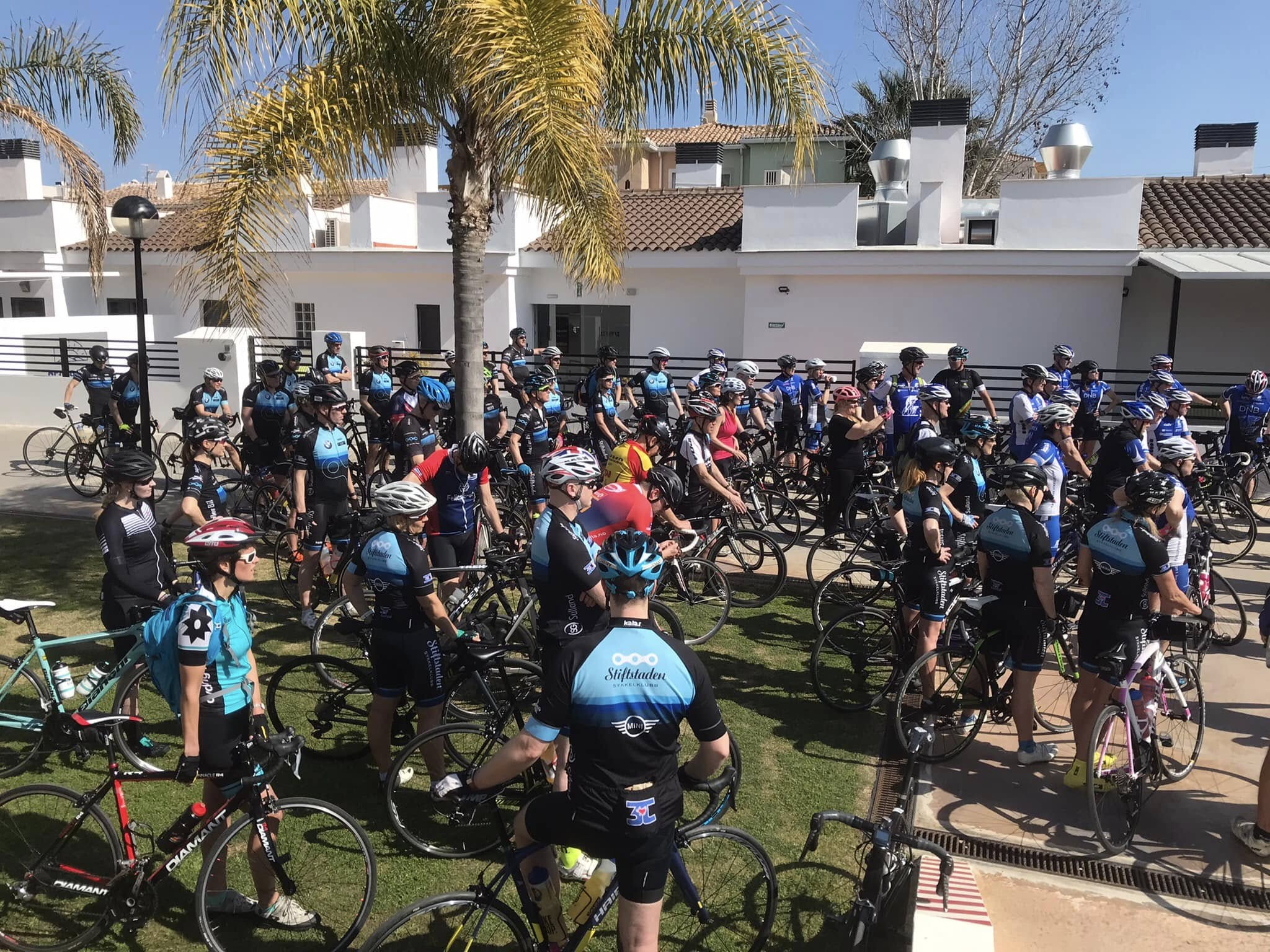 Image for OLIVA NOVA 2027