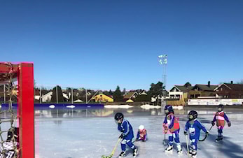 Har du barn som liker å stå på skøyter?