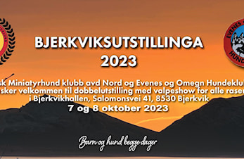 Hundeutstilling i Bjerkvikhallen 7. og 8.oktober