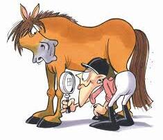 Velkommen til medlemsmøte onsdag 25. mars