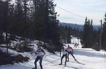 Bergsjørennet palmesundag