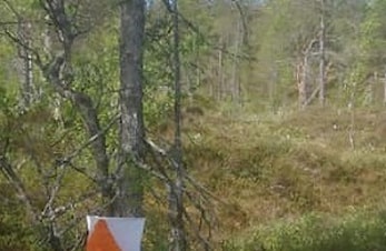 Stjørdalskarusell i Meråker på tirsdag
